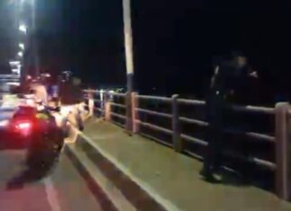 Un hombre saltó al Paraná desde el puente General Belgrano