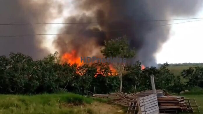 Incendio de pastizales en Vilelas