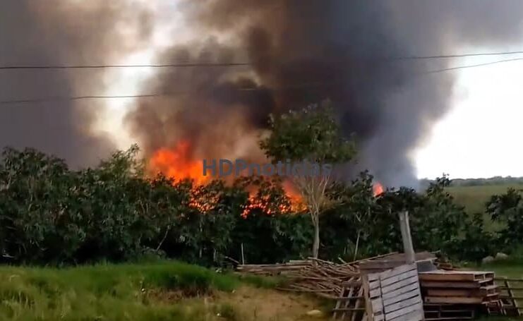 Voraz incendio de pastizales alcanzó a varias viviendas en Puerto Vilelas