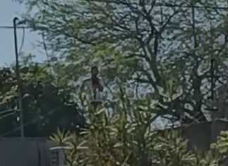 Sáenz Peña: un hombre subió a un árbol y se degolló a la vista de todos
