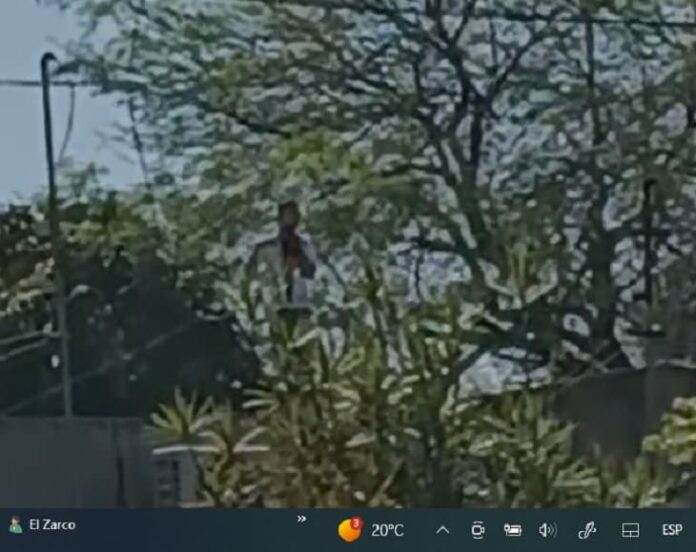 degollado en Sáenz Peña
