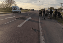 Un motociclista muerto y otro herido grave en choque con colectivo n la ruta 16