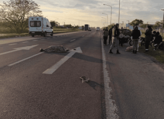 Un motociclista muerto y otro herido grave en choque con colectivo n la ruta 16