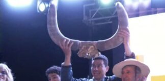 Fiesta de la Guampa en Corrientes: un chaqueño ganó el premio mayor