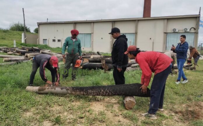 Corte rancho en Puerto Vilelas