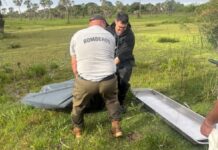 Encontraron a un hombre muerto en la zona sur de Resistencia