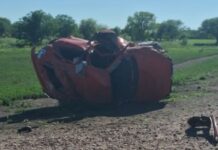 Un perro suelto causó un tremendo vuelco en la ruta 95